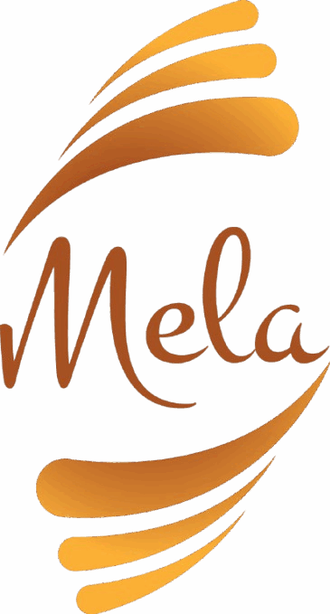 cropped cropped 0edcc4de fb94 41e5 8ac8 aa97bbe1495e 1 removebg preview 1